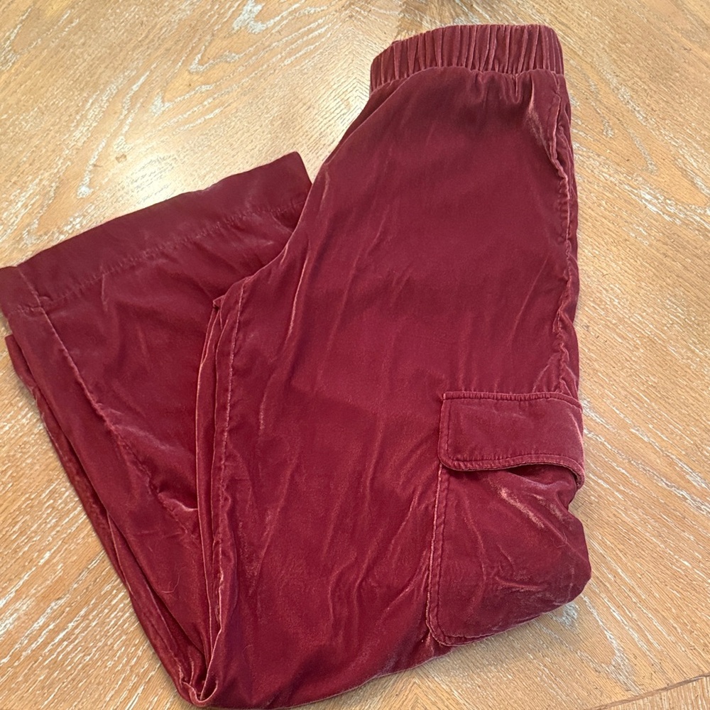 Universal Thread Burgundy Velvet Joggers